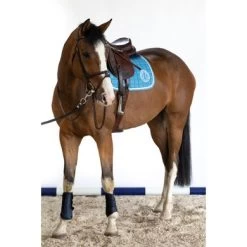 Harcour Zadeldekje Siriel Springen Baby Blauw Full -Paardensport kortingswinkel harcour siriel baby blue 2.36abe6