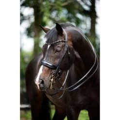 Paardensport kortingswinkel 4 HB Stang- En Trenshoofdstel Special For You Zwart/Navy