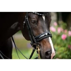 Paardensport kortingswinkel -Paardensport kortingswinkel hb 395 blue.f3be4c