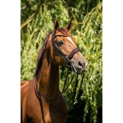 HB Showtime Stang- En Trenshoofdstel Special For You Brown/Golden Glitter