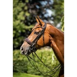 HB Showtime Stang- En Trenshoofdstel Special For You Brown/Golden Glitter 7 HB Showtime Stang- En Trenshoofdstel Special For You Brown/Golden Glitter -Paardensport kortingswinkel hb 395 bruin.8ada54