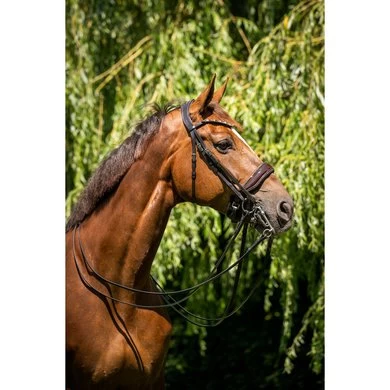 HB Showtime Stang- En Trenshoofdstel Special For You Brown/Golden Glitter 2 HB Showtime Stang- En Trenshoofdstel Special For You Brown/Golden Glitter - Afbeelding 2