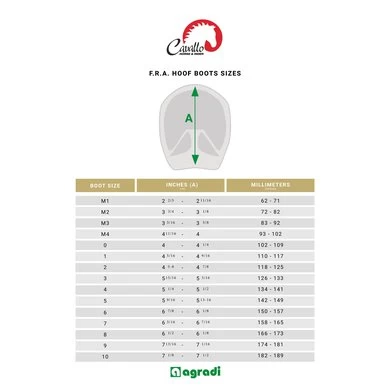 F.R.A. Cavallo Horse & Rider Hoefschoenen Simple Regular Zwart 2 F.R.A. Cavallo Horse & Rider Hoefschoenen Simple Regular Zwart - Afbeelding 2