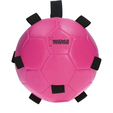 Maximus Bal Fun Play Roze 2 Maximus Bal Fun Play Roze - Afbeelding 2