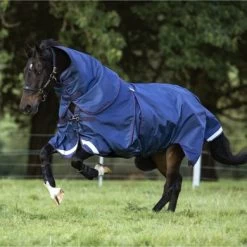 Rambo Optimo Turnout 0g Navy/Burgundy/Teal