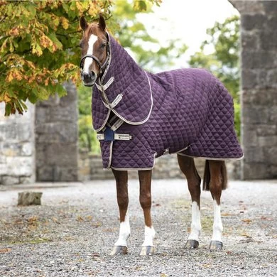 Amigo Stable Plus Medium Navy/Tan 1 Amigo Stable Plus Medium Navy/Tan