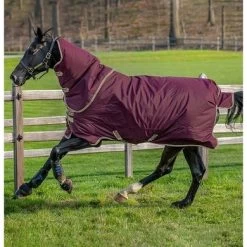 Amigo Hero Ripstop Plus Lite 0g Fig/Navy/Tan