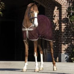 Amigo Net Cooler Met Kruissingels Fig/Navy/Tan