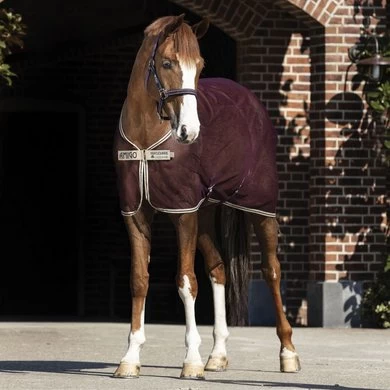 Amigo Net Cooler Met Kruissingels Fig/Navy/Tan 1 Amigo Net Cooler Met Kruissingels Fig/Navy/Tan