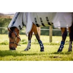 Horseware Flyboots Zilver -Paardensport kortingswinkel hw ddhfl0 ib00 horseware fly boot 4.23157f