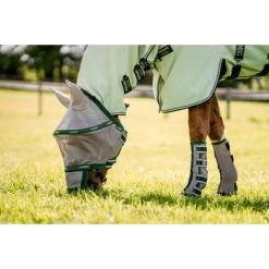 Horseware Flyboots Oatmeal/Sage 6 Horseware Flyboots Oatmeal/Sage -Paardensport kortingswinkel hw ddhfl0 mfmh horseware fly boot 4.b302d4