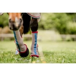 Horseware Flyboots Oatmeal/Check Cob -Paardensport kortingswinkel hw ddhfl0 mrzc horseware fly boot 3.1d33ba