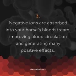 Rambo Ionic Stable Sheet Black/Black & Orange Stripe -Paardensport kortingswinkel hw ionic 1080x1080 5.c78553