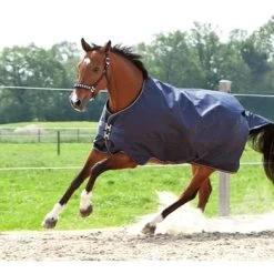 Kavalkade Outdoordeken Montreal 0g Navy -Paardensport kortingswinkel kav 46712.df48c4