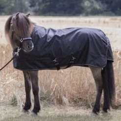 Kavalkade Turnout Rug Voor IJslander 0g Zwart 115/165