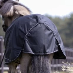 Kavalkade Turnout Rug Voor IJslander 0g Zwart 115/165 -Paardensport kortingswinkel kavalkade 0463221150200 02.169979