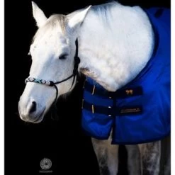 Accuhorsemat Deken Original Met Accupressure Mat Blauw -Paardensport kortingswinkel kavalkade 85001 10.d5cee0