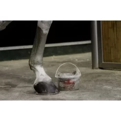 Kevin Bacon's Groene Klei Manicouagan 2kg 5 Kevin Bacon's Groene Klei Manicouagan 2kg -Paardensport kortingswinkel kb argiledemanicouagankevinbacons3.5a39c5