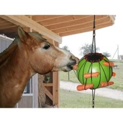 Kerbl Therapie-speelbal Groen 25cm -Paardensport kortingswinkel ke 323902.adb66a