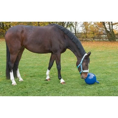 Kerbl Speelbal Voor Paarden Blauw 25cm 2 Kerbl Speelbal Voor Paarden Blauw 25cm - Afbeelding 2