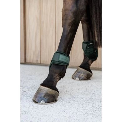 Kentucky Horsewear Kentucky Kogelbeschermer Young Horse Velvet Donker Groen 4 Kentucky Horsewear Kentucky Kogelbeschermer Young Horse Velvet Donker Groen - Afbeelding 4