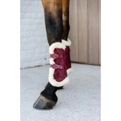 Kentucky Horsewear Kentucky Peesbeschermers Bamboo Elastic Velvet Vegan Bont Bordeaux 11 Kentucky Horsewear Kentucky Peesbeschermers Bamboo Elastic Velvet Vegan Bont Bordeaux -Paardensport kortingswinkel kentucky 179a3824.a103d3
