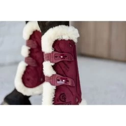 Kentucky Horsewear Kentucky Peesbeschermers Bamboo Elastic Velvet Vegan Bont Bordeaux 12 Kentucky Horsewear Kentucky Peesbeschermers Bamboo Elastic Velvet Vegan Bont Bordeaux -Paardensport kortingswinkel kentucky 179a3840.1832d6