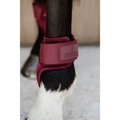 Kentucky Horsewear Kentucky Kogelbeschermer Young Horse Velvet Bordeaux 12 Kentucky Horsewear Kentucky Kogelbeschermer Young Horse Velvet Bordeaux -Paardensport kortingswinkel kentucky 179a4014.8ab186