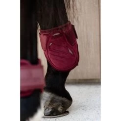 Kentucky Horsewear Kentucky Kogelbeschermer Young Horse Velvet Bordeaux 13 Kentucky Horsewear Kentucky Kogelbeschermer Young Horse Velvet Bordeaux -Paardensport kortingswinkel kentucky 179a4022.0a7c45