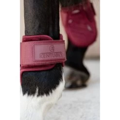 Kentucky Horsewear Kentucky Kogelbeschermer Young Horse Velvet Bordeaux 14 Kentucky Horsewear Kentucky Kogelbeschermer Young Horse Velvet Bordeaux -Paardensport kortingswinkel kentucky 179a4028.9a16d1