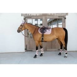 Kentucky Horsewear Kentucky Kogelbeschermer Young Horse Velvet Vegan Bont Oud Roze 14 Kentucky Horsewear Kentucky Kogelbeschermer Young Horse Velvet Vegan Bont Oud Roze -Paardensport kortingswinkel kentucky 179a4092.ced187 1