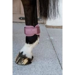 Kentucky Horsewear Kentucky Kogelbeschermer Young Horse Velvet Oud Roze 11 Kentucky Horsewear Kentucky Kogelbeschermer Young Horse Velvet Oud Roze -Paardensport kortingswinkel kentucky 179a4327.bfc8ac