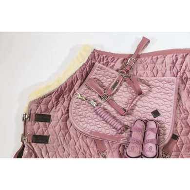 Kentucky Horsewear Kentucky Kogelbeschermer Young Horse Velvet Oud Roze 6 Kentucky Horsewear Kentucky Kogelbeschermer Young Horse Velvet Oud Roze - Afbeelding 6