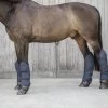 Kentucky Horsewear Kentucky Transportbeschermers Navy Full