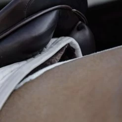 Kentucky Horsewear Kentucky Zadeldekje Skin Friendly Velvet Dressuur Beige Full 8 Kentucky Horsewear Kentucky Zadeldekje Skin Friendly Velvet Dressuur Beige Full -Paardensport kortingswinkel kentucky 485a3639 564c22e810080218547dfa1c1093aa08 article photobook l.a80422