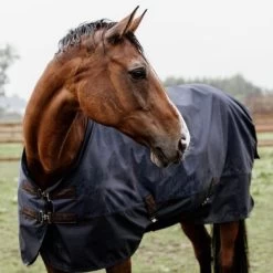 Kentucky Horsewear Kentucky Turnout Rug All Weather Waterproof Classic 0g Navy -Paardensport kortingswinkel kentucky 485a4426.2c2eb9