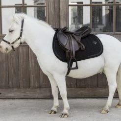 Kentucky Horsewear Kentucky Zadeldekje Glitter Stone Springen Zwart