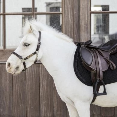 Kentucky Horsewear Kentucky Zadeldekje Glitter Stone Springen Zwart 2 Kentucky Horsewear Kentucky Zadeldekje Glitter Stone Springen Zwart - Afbeelding 2