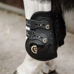 Kentucky Horsewear Kentucky Kogelbeschermer Moonboots Max Elastic Zwart Full 6 Kentucky Horsewear Kentucky Kogelbeschermer Moonboots Max Elastic Zwart Full -Paardensport kortingswinkel kentucky 485a9924 .bd7924