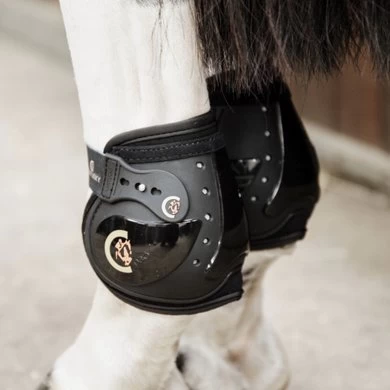 Kentucky Horsewear Kentucky Kogelbeschermer Moonboots Elastic Zwart Full 2 Kentucky Horsewear Kentucky Kogelbeschermer Moonboots Elastic Zwart Full - Afbeelding 2