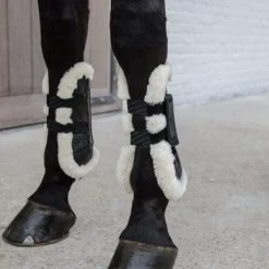 Kentucky Horsewear Kentucky Peesbeschermers Velcro Vegan Sheepskin Zwart M -Paardensport kortingswinkel kentucky peesbeschermers velcro vegan sheepskin zwart 2.530a0a