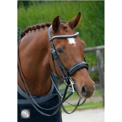 LJ-Leathers Hoofdstel Superior Lak Stang En Trens Zwart 1 LJ-Leathers Hoofdstel Superior Lak Stang En Trens Zwart