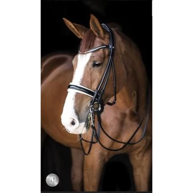 LJ-Leathers Hoofdstel Serrena Stang En Trens Rond Genaaid Zwart/Wit 1 LJ-Leathers Hoofdstel Serrena Stang En Trens Rond Genaaid Zwart/Wit