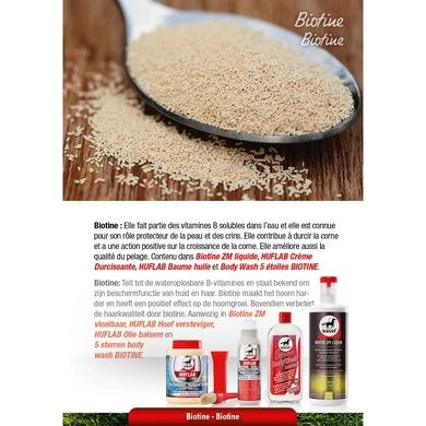 Leovet 5-Star Biotin Body Wash 500ml 2 Leovet 5-Star Biotin Body Wash 500ml - Afbeelding 2