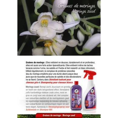 Leovet Milton-wit Shampoo 500ml 4 Leovet Milton-wit Shampoo 500ml - Afbeelding 4