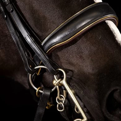 Mrs. Ros Stang & Trenshoofdstel Imperial Gold 2 Mrs. Ros Stang & Trenshoofdstel Imperial Gold - Afbeelding 2