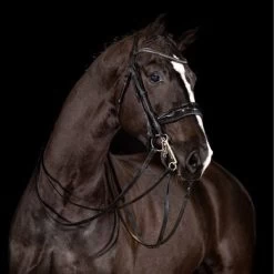 Paardensport kortingswinkel -Paardensport kortingswinkel mrs av1i0489 sm.da9b91