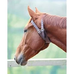 Shires Luchtzuigband Australian Nut -Paardensport kortingswinkel product sh 1141 ausnut.87507c