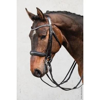 Schockemöhle Stang- En Trenshoofdstel Milton Zwart/zilver 2 Schockemöhle Stang- En Trenshoofdstel Milton Zwart/zilver - Afbeelding 2