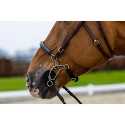 Trust Hoofdstel Hickstead Zwart/zilver -Paardensport kortingswinkel trust hickstead hackamore bridle heus23l296433.4e07ca 1